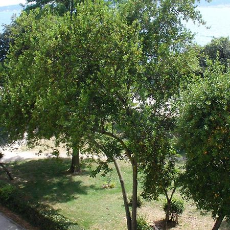 Apartment Jelena Ζαντάρ Εξωτερικό φωτογραφία