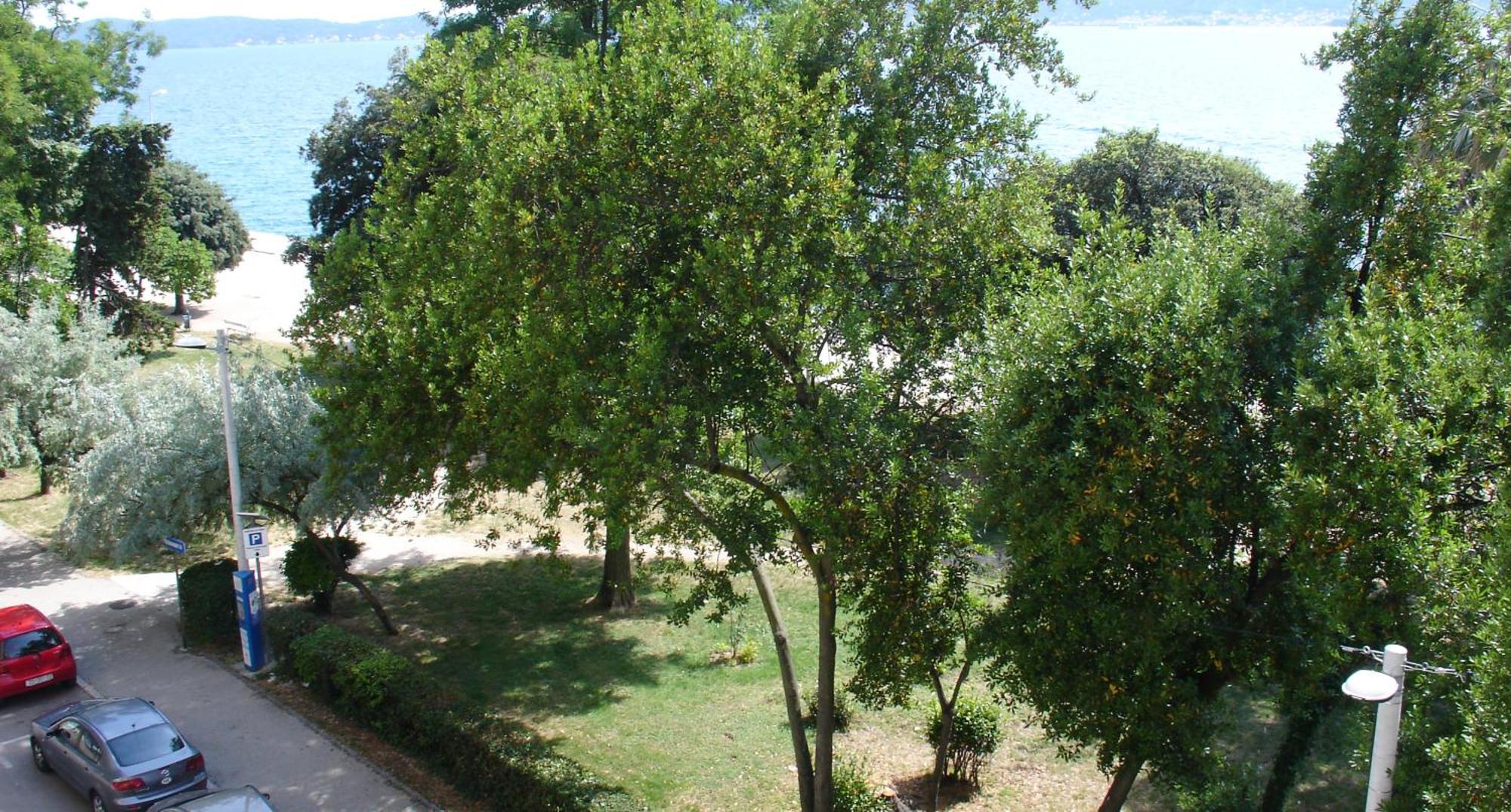 Apartment Jelena Ζαντάρ Εξωτερικό φωτογραφία